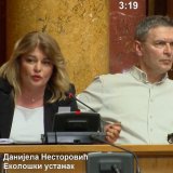 Nestorović: Prioriteti Ekološkog ustanka su fer izbori i prava alternativa, a ne samo tehničko udruživanje 4