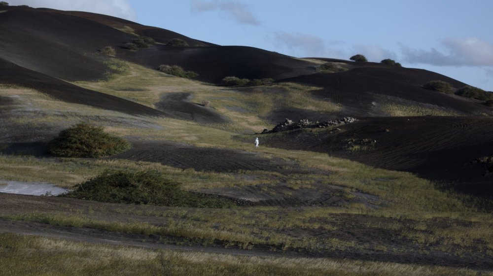 Besplatna projekcija dokumentarca „TerraForma“ povodom Dana planete Zemlje 1