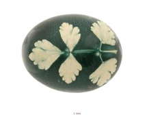 Od "čuvarkuće" do "strašnika": Tradicija, simbolika i načini uskršnjeg šaranja i bojenja jaja (FOTO) 6