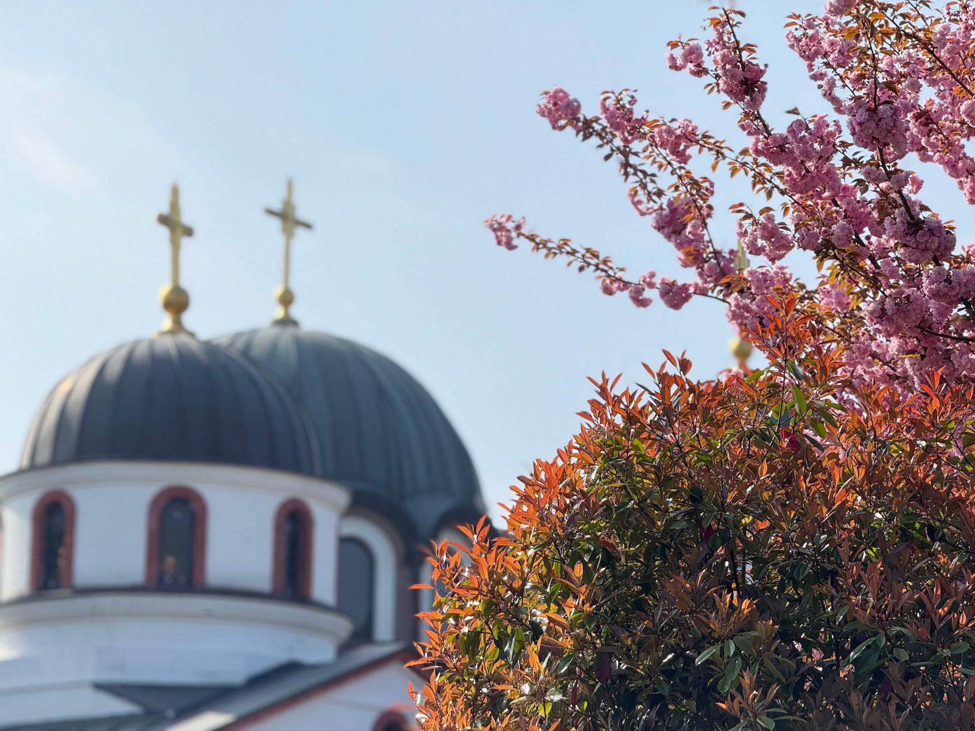 Vladika Grigorije za BBC: „Studenti su ogledalo koje sve razobličava” 7 Crkva u Diseldorfu