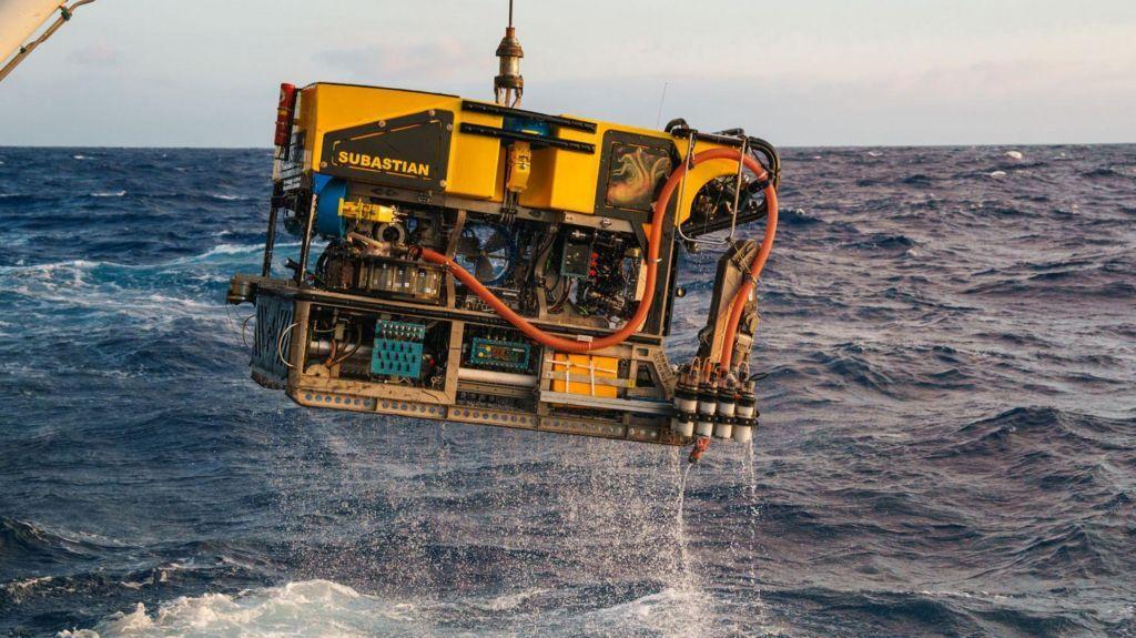 Jedinstveni trenutak: Prvi snimak kolosalne lignje u prirodnom okruženju 2 istraživanje okeana