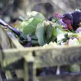 Stanovnici Njujorka od 1. aprila u obavezi su da kompostiraju: Kakva su pravila? 2