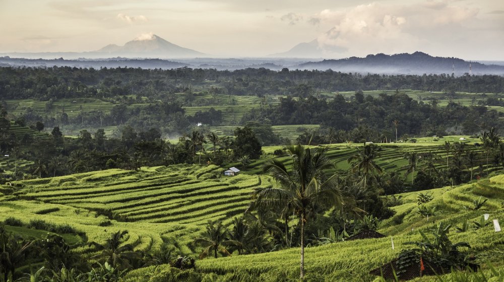 Na Baliju postoji dan u godini kada se gasi svetlo i internet, a turisti ne smeju na ulice 1