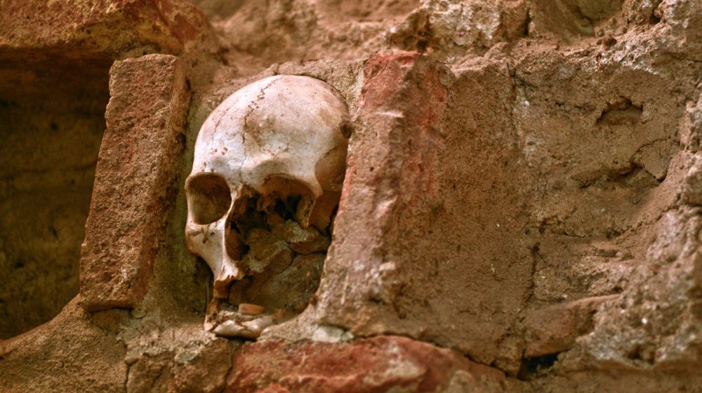 U Aziji pronađen alat za lovce iz ledenog doba, za koji se verovalo da je postojao samo u Evropi 1