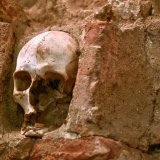 U Aziji pronađen alat za lovce iz ledenog doba, za koji se verovalo da je postojao samo u Evropi 2