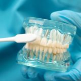 Naučnici razvijaju zube u laboratoriji: Zaboravite na plombe i implantate 1