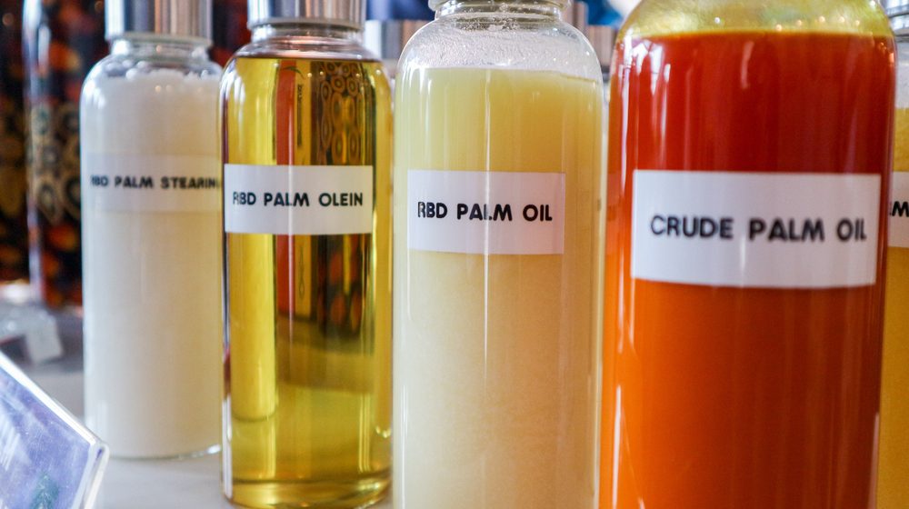 Asocijacija potrošača Srbije: Godinama upozoravamo da sir sa palminim uljem mora da bude obeležen 1