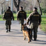 "Životinje se ne koriste kao alati": I vegani reagovali na oglas Ministarstva odbrane o prodaji "rashodovanih" pasa 6