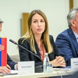 Dubravka Ðedović Handanović komisija za Ðerdap