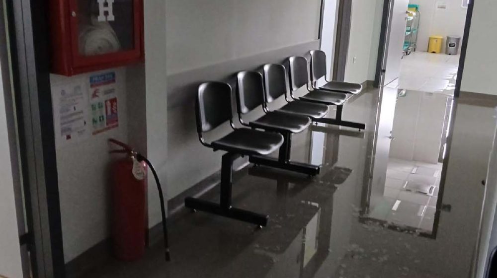 Tigrasti komarac protiv zdravstvenog sistema Srbije 1