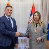 Sredinom godine počinje gradnja dela prve faze Transbalkanskog elektroenegetskog koridora 15