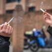 U Crnoj Gori uništeno više od 930 tona zaplenjenih cigareta 13