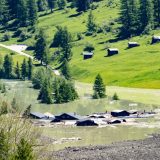 Katastrofa u Švajcarskoj: Topljenje glečera menja svet 5