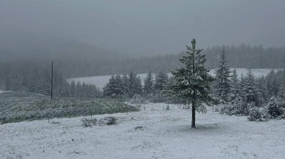 Sneg u maju: Zabeleo se Zlatar 1