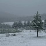 Sneg u maju: Zabeleo se Zlatar 1