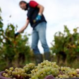 Kako klimatske promene utiču na privredu Srbije 6