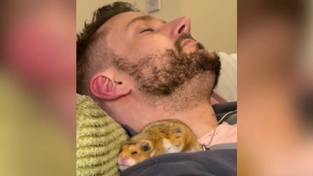 Hrčak u ulozi Kupidona: Kako je glodar ovom čoveku promenio život 1 Kris sa hrčkom na sofi