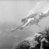 Legendarni Dejvid Atenboro puni 99 godina i šalje poruku 'koju nikada pre nije' 4