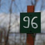 Da li propisi u Srbiji posmatraju mrtvorođenčad kao 'medicinski otpad' 3