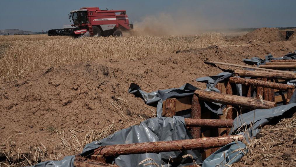 Čeka li nas decenija rekordnih cena hrane 2 Crveni kombajn u polju pšenice, sa oblakom prašine koji se diže iza. U prvom planu su kanali utvrđeni drvenim stubovima, na liniji fronta u Ukrajini 2024. godine.
