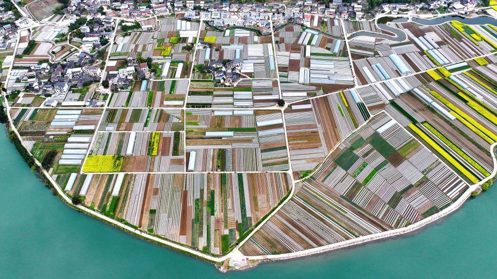 Čeka li nas decenija rekordnih cena hrane 3 Fotografija iz vazduha - polja okružena vodom. U provinciji Sečuan u Kini uzgaja se povrće, mart 2025.