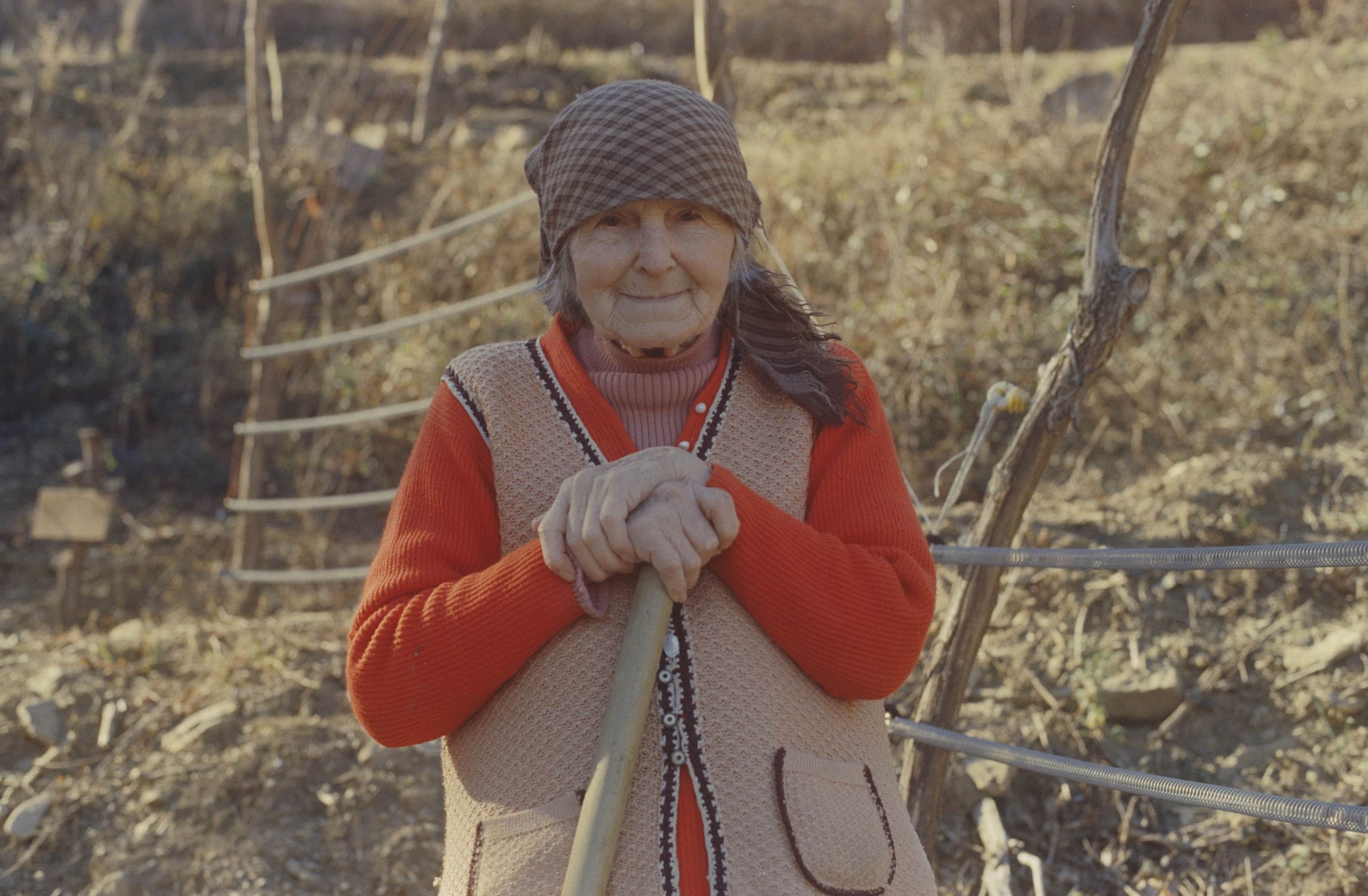 Gregor Božič, slovenački reditelj povodom premijere filma „Obična kruška“na Beldocsu : Čak i u najbeznadežnijim uslovima, uvek postoje ljudi koji razmišljaju drugačije 2