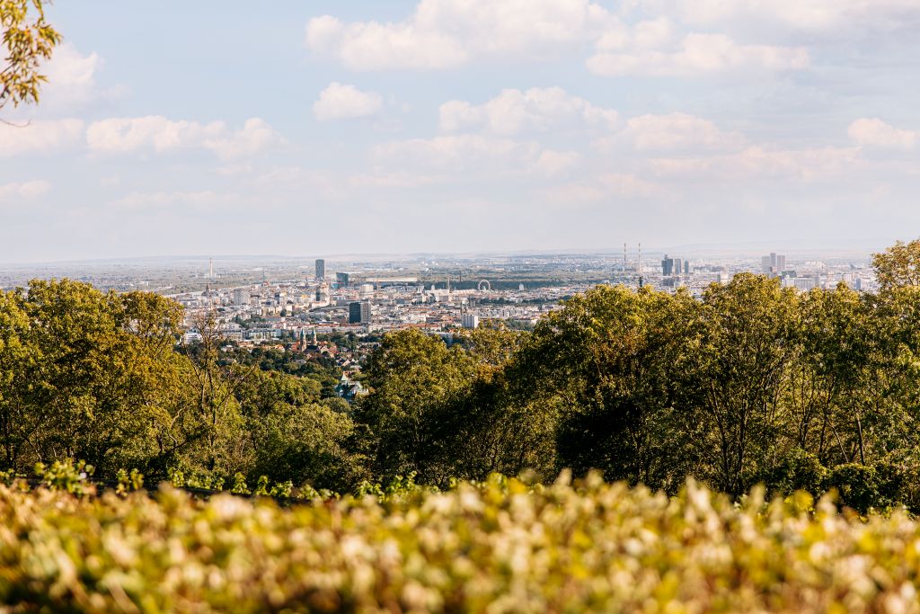 beč Najlepši bečki vidikovci (FOTO) 3