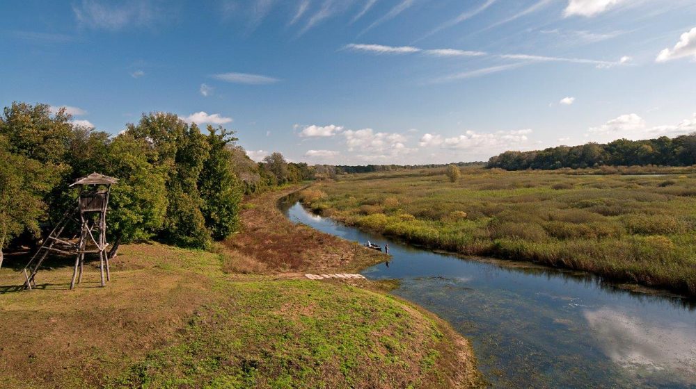Od Tare do Obedske bare: Švedska sa 600.000 dolara podržava očuvanje vlažnih staništa u Srbiji 1