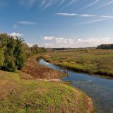 Od Tare do Obedske bare: Švedska sa 600.000 dolara podržava očuvanje vlažnih staništa u Srbiji 6