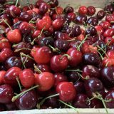 Zašto kilogram trešanja košta 1.500 dinara 6