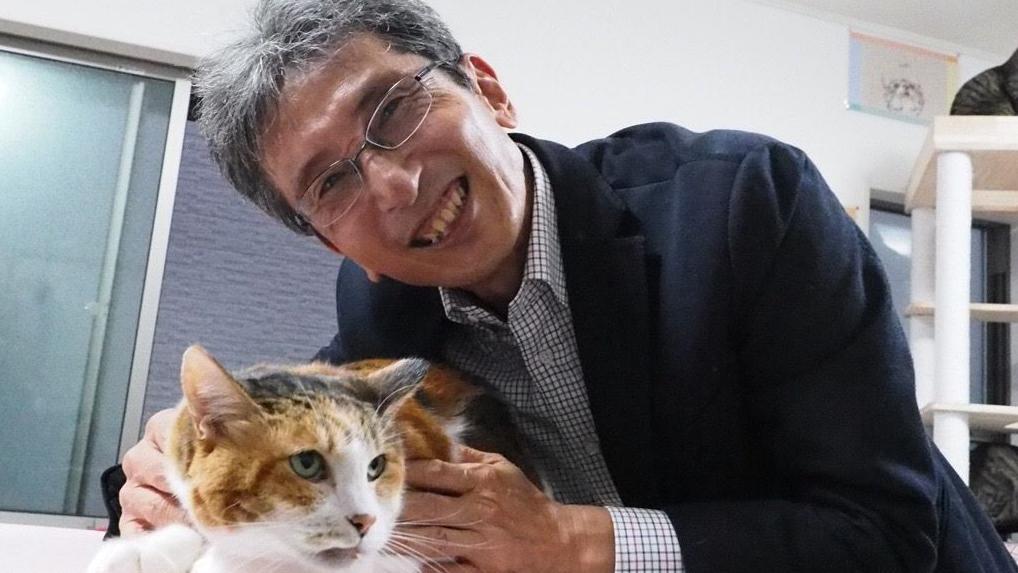 Razotkrivena decenijska misterija riđih mačaka 3 Professor Sasaki smiles and leans down towards the table where he is holding a calico cat, mixed orange and brown fur with intently staring green eyes. They are in a cat rescue centre with other cats on a play tower in the background