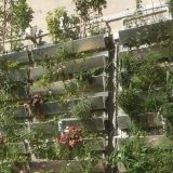 Kišnica i "siva voda" kao alternativa za zalivanje zelenila u Beču 11