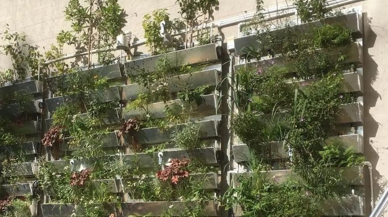 Kišnica i "siva voda" kao alternativa za zalivanje zelenila u Beču 1