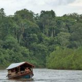 Tužba protiv Njujork tajmsa zbog tvrdnji da je internet navukao amazonsko pleme na pornografiju 7