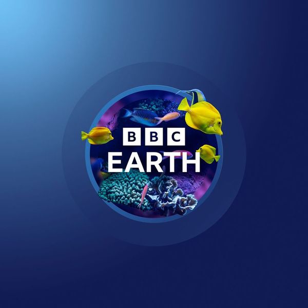 Ser Dejvid Atenboro puni 99 godina: BBC Earth slavi život posvećen planeti 2 Dejvid Atenboro
