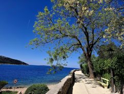 Podvodno otkriće svetskog glasa i (stasa) u čuvenom morskom lečilištu, gde je oboren novi Ginisov rekord: Pozdrav sa ostrva vitalnosti 3