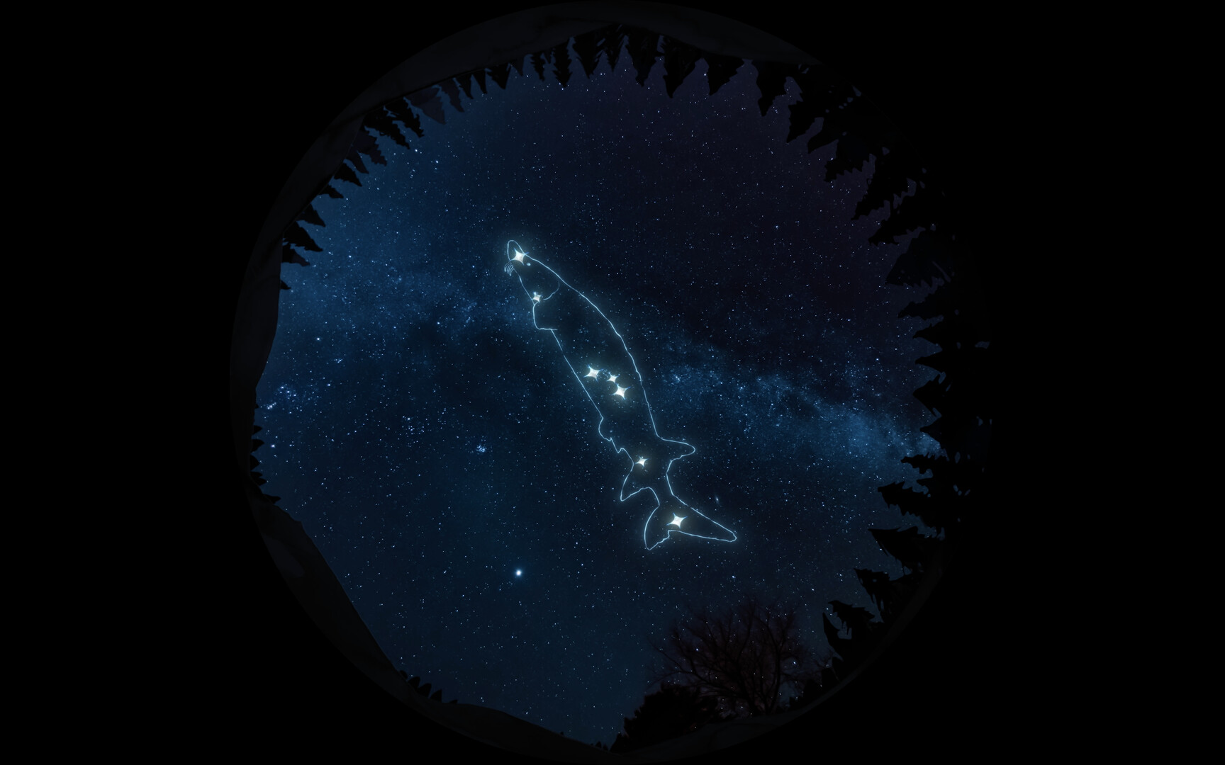 Imerzivni program na ovogodišnjem Beldocsu 1