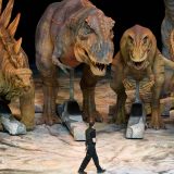 Dinosaurusi bi možda još uvek hodali Zemljom da nije bilo asteroida, sugeriše istraživanje 1