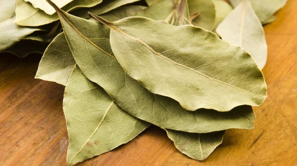 Lovorov list nije samo začin, već i saveznik u borbi protiv neprijatnih mirisa u domu 1