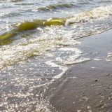 Zabrinjavajući snimci Jadranskog mora iz svemira: Evo sta je primećeno uz obalu 3