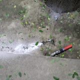 Bačena baklja u dvorište Crne kuće u Novom Sadu uoči nastupa dreg kraljica 3