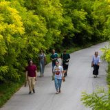 "Svedočanstvo o uništavanju planete": Izložba „Priroda i društvo“ u Muzeju Vojvodine u Novom Sadu 4