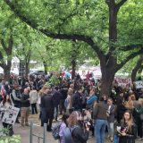 Bravo: Tražimo hitnu reakciju policije zbog okupljanja u crno obučenih grupa na Limanu; TV N1 javlja da se upravo dešava tuča 8