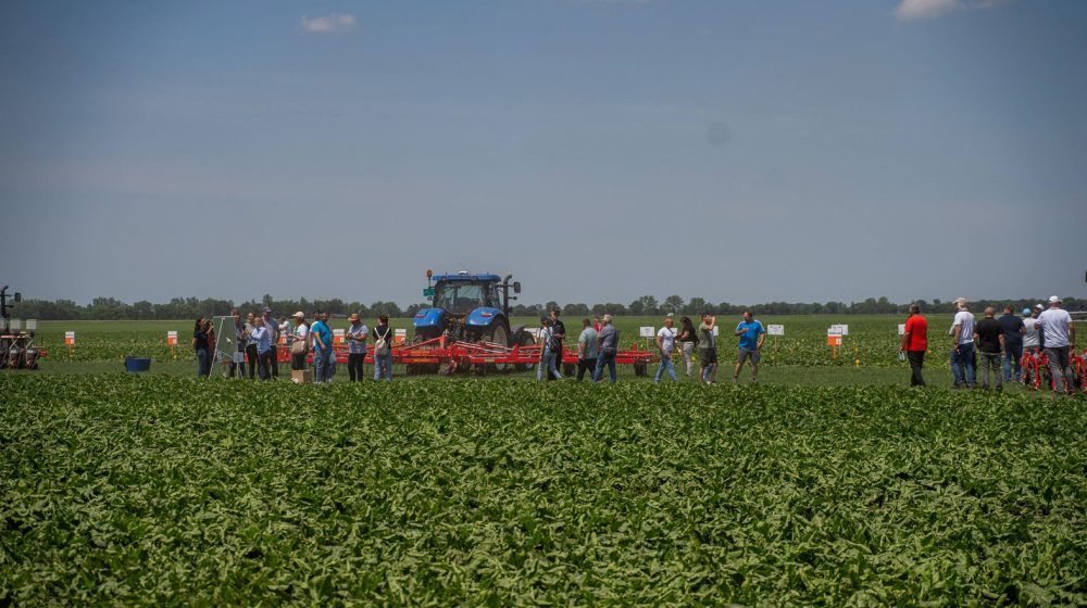 NPS: Poljoprivrednicima ništa ne znače novi programi ako država ne izvršava obaveze iz postojećih 12