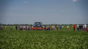 NPS: Poljoprivrednicima ništa ne znače novi programi ako država ne izvršava obaveze iz postojećih 13