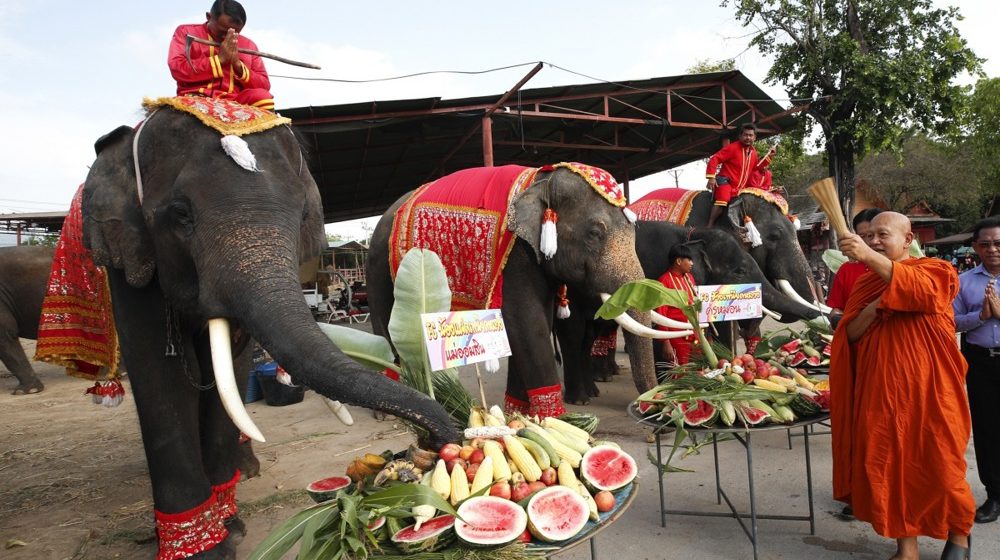 Slon ušao u radnju na Tajlandu, pojeo grickalice, banane i sendvič (VIDEO) 1