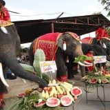 Slon ušao u radnju na Tajlandu, pojeo grickalice, banane i sendvič (VIDEO) 3