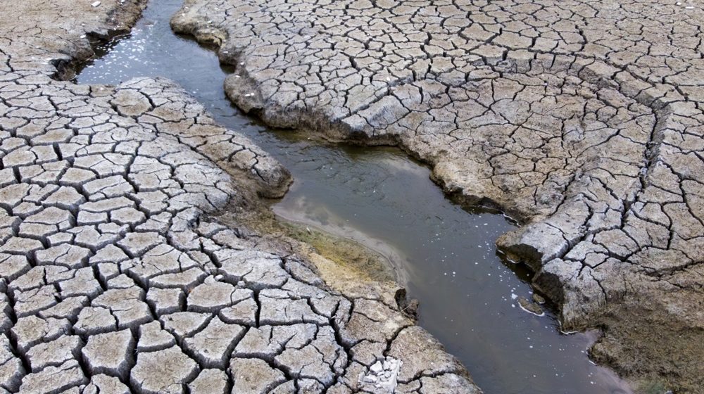 Pet vrsta suše i šta tu može da pomogne 1