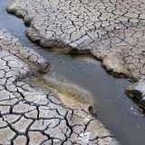 Pet vrsta suše i šta tu može da pomogne 1