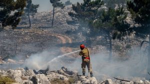 Vanredno stanje proglašeno je danas na grčkom ostrvu Hios, zbog šumskih požara sa kojima se više stotina vatrogasaca bori već dva dana.